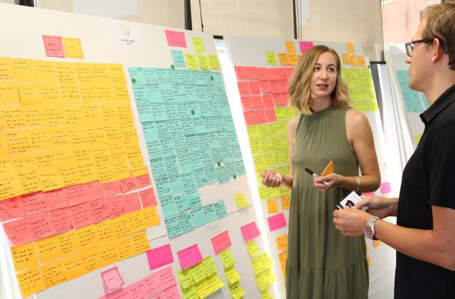 Lean Business Analysis