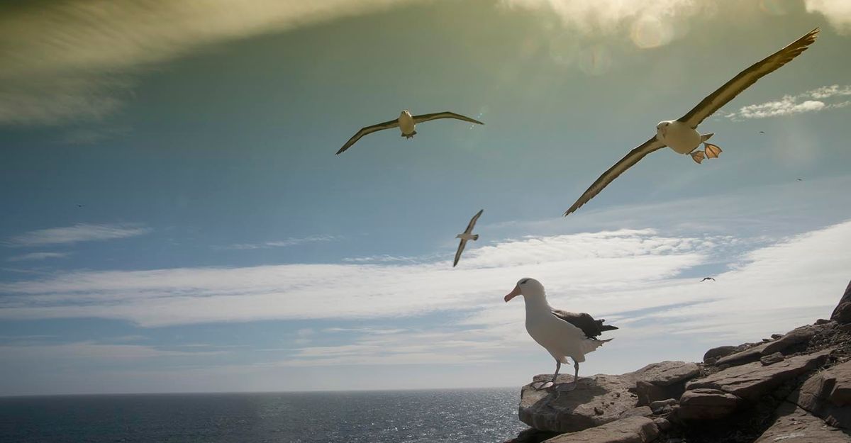 Migrating<br> to <br> Oracle Cloud